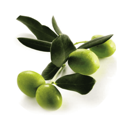 a close-up of green olives
